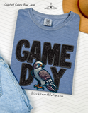 Game Day Falcon